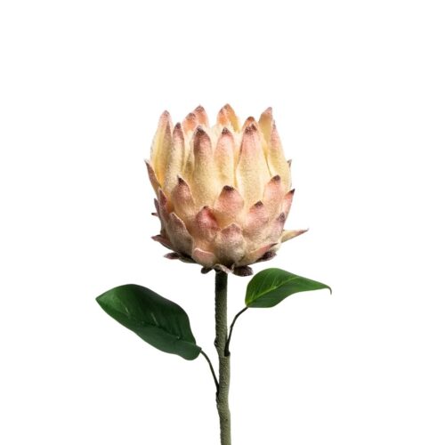 Artificial Protea Little Prince Peach 64cm