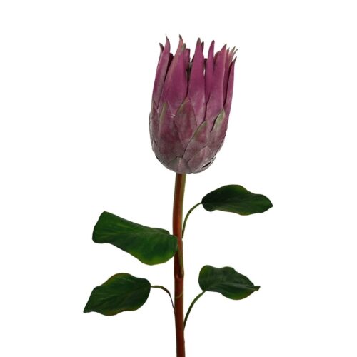 Artificial Queen Protea Ruby Pink 68cm