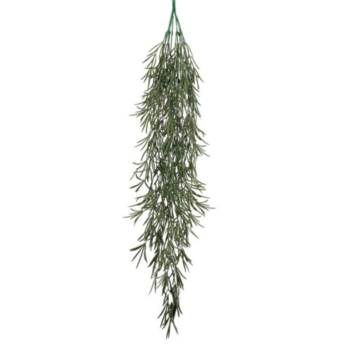 Coastal Rosemary Hanging Bush 91cm