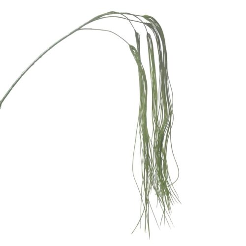Hanging Seaweed Grass Green 110cm