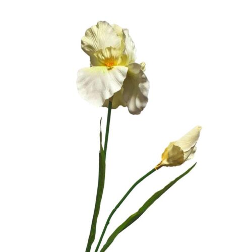 Artificial Iris Stem with Bud White 69cm