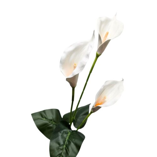 Tall Calla Lily Spray – White 84 cm