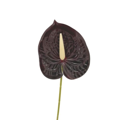 Anthurium Lily Flower Burgundy 60cm