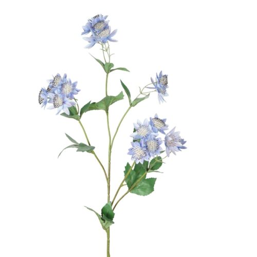 Artificial Astrantia Blue 75cm