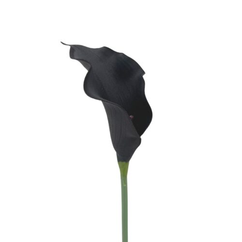 Artificial Calla Lily Zante Black 73cm