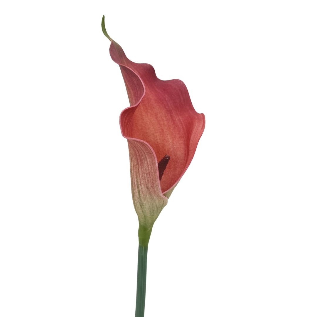 Artificial Calla Lily Zante Coral 73cm
