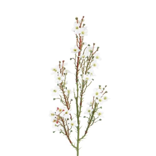 Wax Flower White 64cm