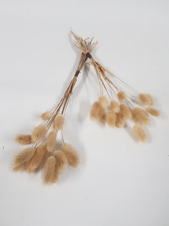 Bunny Tails Natural Dried