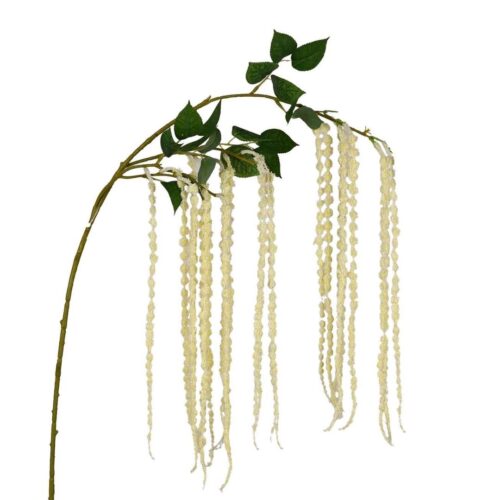 Amaranthus Cascade Cream 125cm