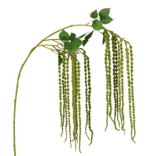 Amaranthus Cascade Lime 125cm