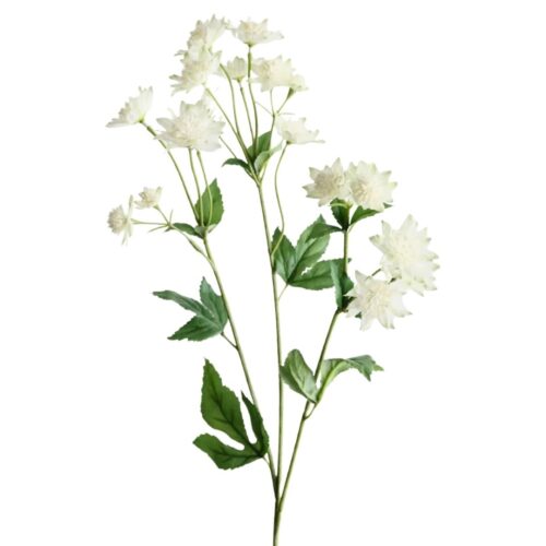 Artificial Astrantia White 73cm
