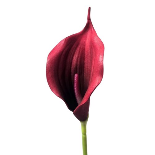 Artificial Calla Lily Dainty Dark Red 36cm