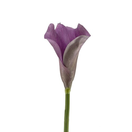 Artificial Calla Lily Zara Purple 61cm