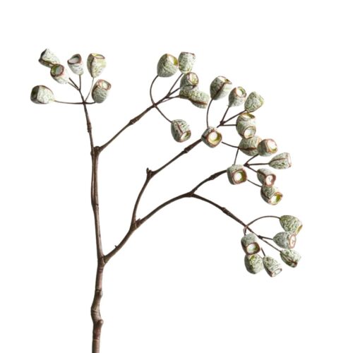 Artificial Eucalyptus tetragona Nuts 65cm