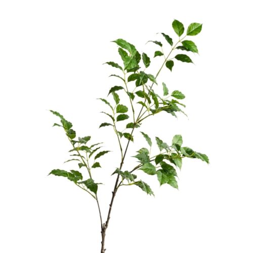 Artificial Ficus Leaf Branch 100cm
