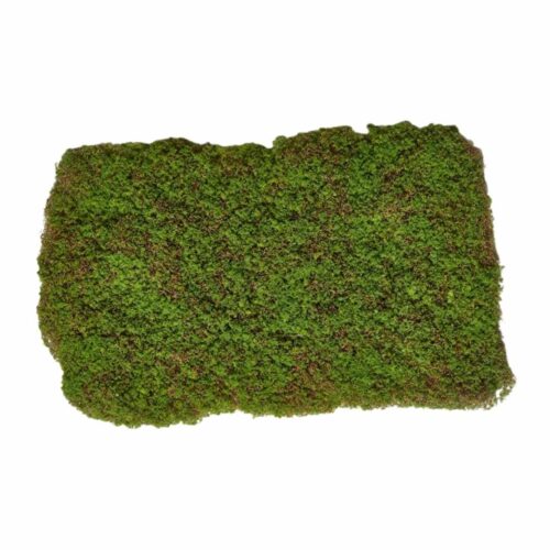 Artificial Moss Mat 65cm