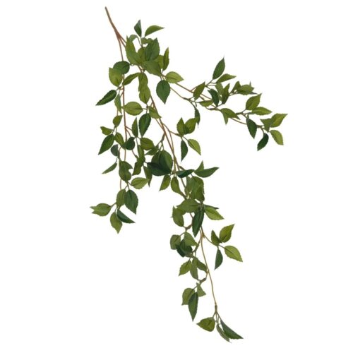 Draping Siberian Elm Leaf Spray 61cm