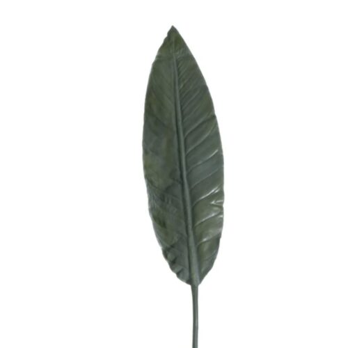 Giant Bird of Paradise Leaf 137cm