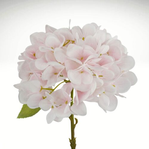 Hydrangea Little Diva Light Pink 35cm