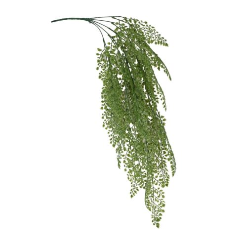 Maiden Fern Hanging Bush 90cm