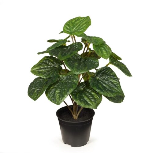Artificial Peperomia Rata Plant Green 26cm