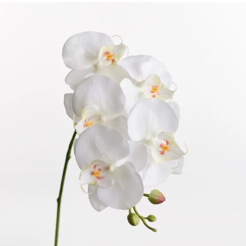 Real Touch Phalaenopsis Orchid White 70cm