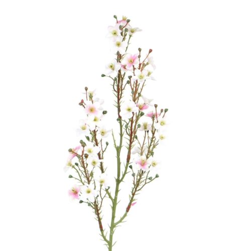 Wax Flower Soft Pink 64 cm