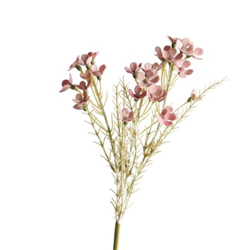 Wax Flower Spray Dusty Pink 38cm