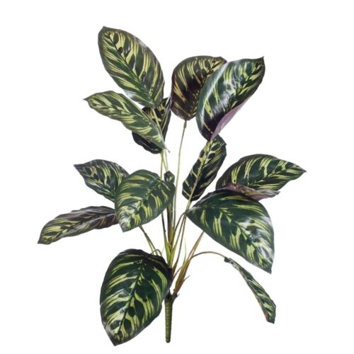 Artificial Calathea Bush 43cm