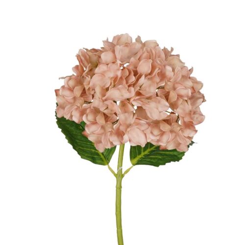 Real Touch Hydrangea Nova Nude 50cm