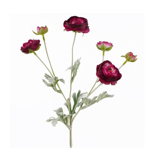 Artificial Ranunculus 6H Burgundy 67cm