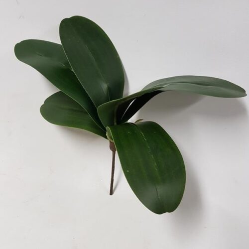 Artificial Phal Orchid Leaf 29cm