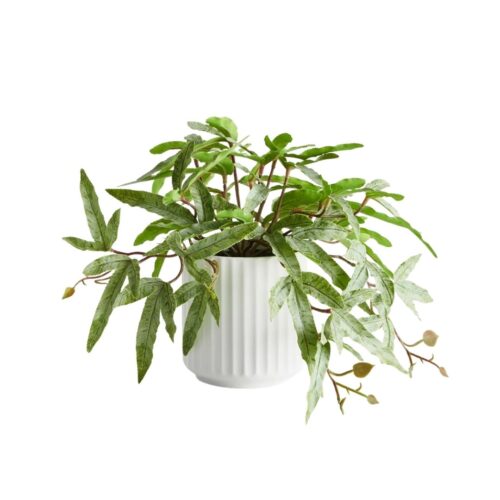 Artificial Kanga Plant 22cm