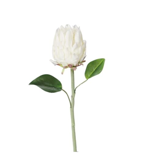 Artificial Protea Little Prince Cream 64cm