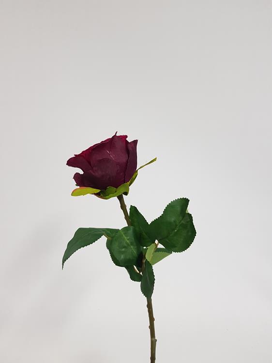 Rose Soft Touch Burgundy - Image 2