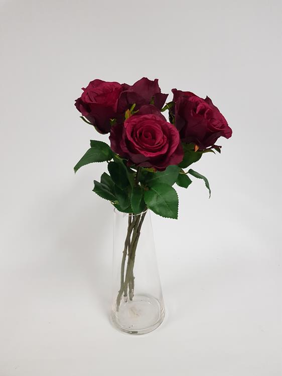 Rose Soft Touch Burgundy - Image 4