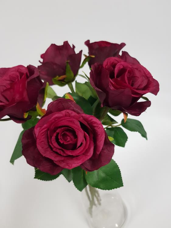 Rose Soft Touch Burgundy