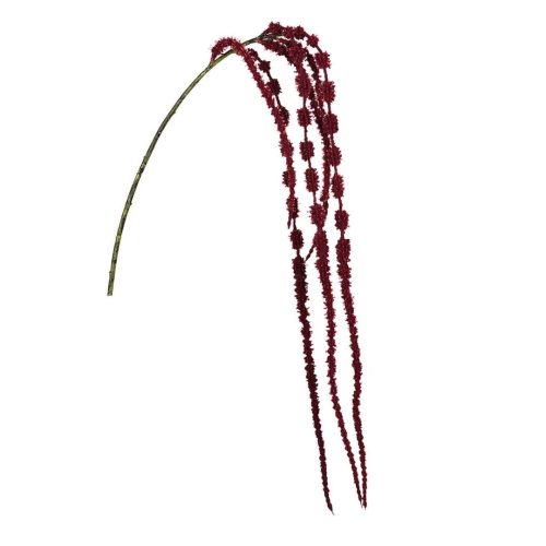 Amaranthus Love Lies Bleeding Red 110cm
