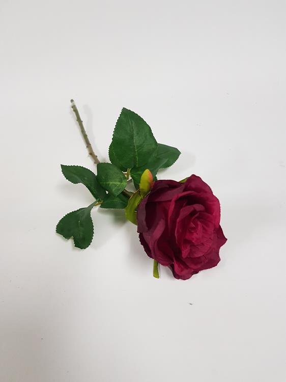 Rose Soft Touch Burgundy - Image 3