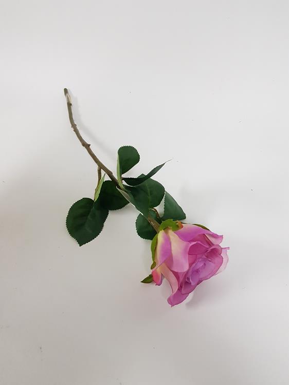 Rose Soft Touch Mauve - Image 3