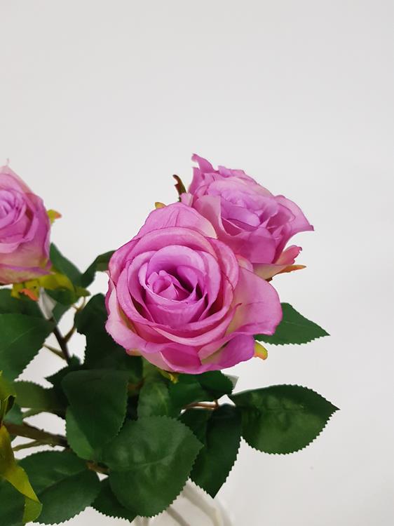 Rose Soft Touch Mauve